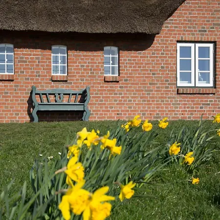 Paulas Haus Ferien Unter Reet *
