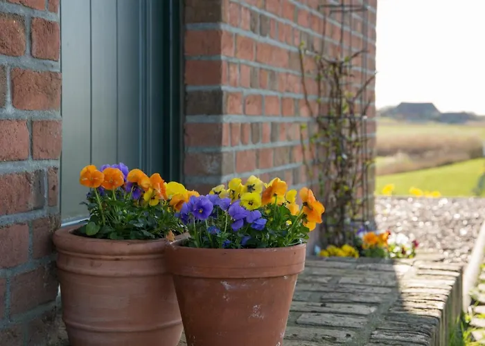 Apartment Paulas Haus Ferien Unter Reet *