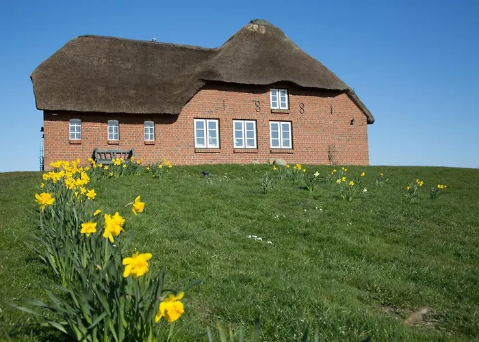 Apartment Paulas Haus Ferien Unter Reet Pellworm