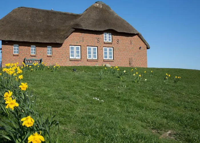 Apartment Paulas Haus Ferien Unter Reet
